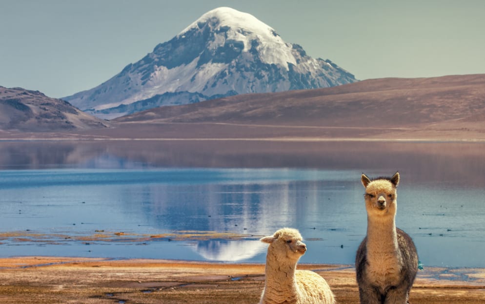 Arica - Arica_120.jpg